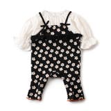ブラック | 【リンク】ジャガードロンパス | F.O.Online Store