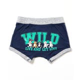 ネイビーブルー | BREEZY CATS ボクサーパンツ | F.O.Online Store