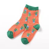 オレンジ | BOYS総柄ソックス | F.O.Online Store