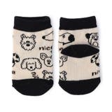バラエティ総柄ソックス マイファーストブリーズ | F.O.Online Store | 詳細画像8 