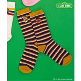 イエロー | セサミストリート ソックス | F.O.Online Store