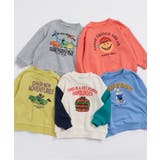 グラフィックバリエーショントレーナー | F.O.Online Store | 詳細画像12 