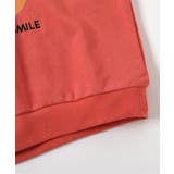 グラフィックバリエーショントレーナー | F.O.Online Store | 詳細画像8 