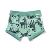 グリーン | 動物柄 3Pボクサーパンツ | F.O.Online Store