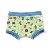 グリーン | バラエティ 3Pボクサーパンツ B | F.O.Online Store