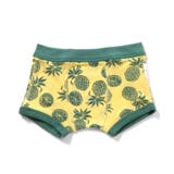 イエロー | バラエティ ボクサーパンツ D | F.O.Online Store