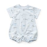 サックス | 【リンク】総柄ひんやりロンパスA 吸水速乾 接触冷感 | F.O.Online Store