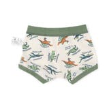 バラエティボクサーパンツC | F.O.Online Store | 詳細画像2