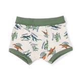 ベージュ | バラエティボクサーパンツC | F.O.Online Store