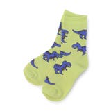 グリーン | ゆる?い恐竜柄ソックス | F.O.Online Store