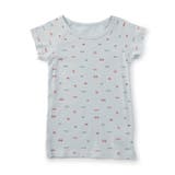 サックス | あったかかくれんぼインナーショートスリーブTシャツ | F.O.Online Store