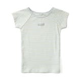 ボーダー柄 | あったかかくれんぼインナーショートスリーブTシャツ 吸湿発熱 | F.O.Online Store