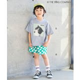 3つセットラインソックス | F.O.Online Store | 詳細画像7