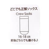 どこでも正解フリルソックス | F.O.Online Store | 詳細画像5