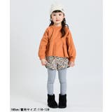 リブタイツ | F.O.Online Store | 詳細画像9 