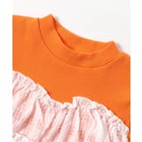 WEB限定 シアーチェックドッキングトップス | F.O.Online Store | 詳細画像10 