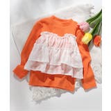 WEB限定 シアーチェックドッキングトップス | F.O.Online Store | 詳細画像14 