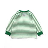 ワッフルボーダーTシャツ | F.O.Online Store | 詳細画像3 