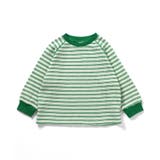 グリーン | ワッフルボーダーTシャツ | F.O.Online Store