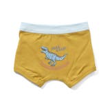 BOYS車・恐竜バックプリントパンツ | F.O.Online Store | 詳細画像6