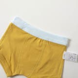 BOYS車・恐竜バックプリントパンツ | F.O.Online Store | 詳細画像8