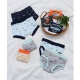 BOYS恐竜総柄パンツ | F.O.Online Store | 詳細画像10 