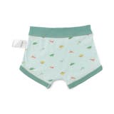 BOYS恐竜総柄パンツ | F.O.Online Store | 詳細画像5 
