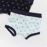 サックス | BOYS恐竜総柄パンツ | F.O.Online Store