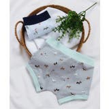 BOYSサメ・犬総柄パンツ | F.O.Online Store | 詳細画像4 