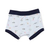 BOYSサメ・犬総柄パンツ | F.O.Online Store | 詳細画像7 