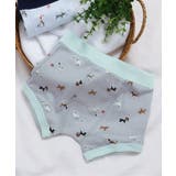 ライトグレー | BOYSサメ・犬総柄パンツ | F.O.Online Store