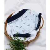 サックス | BOYSサメ・犬総柄パンツ | F.O.Online Store
