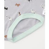 BOYS犬・車総柄ブリーフ | F.O.Online Store | 詳細画像6 