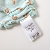 GIRLSくま総柄ショーツ | F.O.Online Store | 詳細画像6