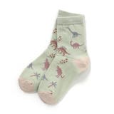 ミント | きょうりゅう柄ソックス | F.O.Online Store
