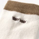 tiny bear アソートソックス | F.O.Online Store | 詳細画像10
