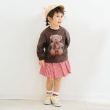 tiny bear アソートソックス | F.O.Online Store | 詳細画像7