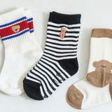 ボーダー柄 | tiny bear アソートソックス | F.O.Online Store