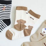 キナリ | tiny bear アソートソックス | F.O.Online Store
