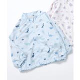 サックス | バラエティウィンドブレーカー_撥水加工 | F.O.Online Store