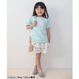 バラエティTシャツ/7days Style | F.O.Online Store | 詳細画像14 