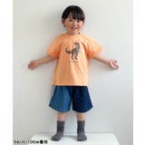 バラエティTシャツ/7days Style | F.O.Online Store | 詳細画像19 