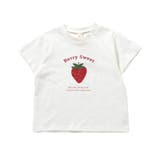 バラエティTシャツ/7days Style | F.O.Online Store | 詳細画像4 