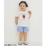バラエティTシャツ/7days Style | F.O.Online Store | 詳細画像7 