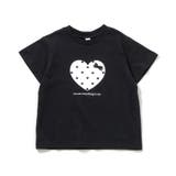 ブラック | バラエティTシャツ/7days Style | F.O.Online Store