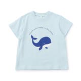 アソートモチーフTシャツ|7days Style | F.O.Online Store | 詳細画像27