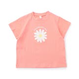 サーモンピンク | アソートモチーフTシャツ|7days Style | F.O.Online Store