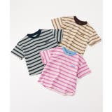 ALCロゴボーダーTシャツ | F.O.Online Store | 詳細画像10 