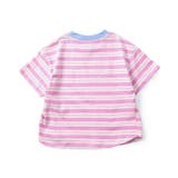 ALCロゴボーダーTシャツ | F.O.Online Store | 詳細画像13 