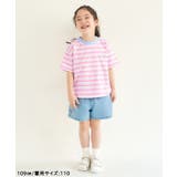 ALCロゴボーダーTシャツ | F.O.Online Store | 詳細画像18 